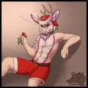 1450755448.ekbellatrix_687small.png