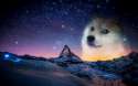 doge.jpg