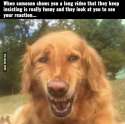 It-gets-funny-I-swear.jpg