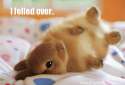 Funny-Cute-Rabbits-Funny-Cute-Rabbit-Picture-130-FunnyPica.com_.jpg