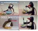 Noot_873792_5625944.jpg