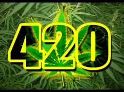 420-yellow.jpg