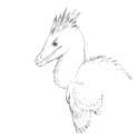 RaptorIII.png