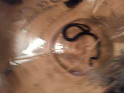 20160420_205532.jpg