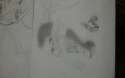 IMG-20160227-WA0079.jpg