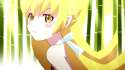 shinobu.gif