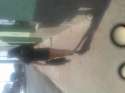 IMG_20150706_133328.jpg