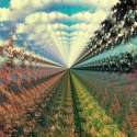 1455085316157.gif