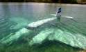 plane-underwater-580x354.jpg
