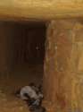 odessa-catacombs.10070.large_slideshow.jpg