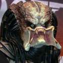 predator.jpg