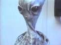 alien.jpg
