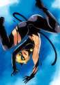 1814247 - CLUB-Z Cat_Noir Miraculous_Ladybug.jpg