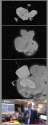 1482076 - Churyumov-Gerasimenko ESA Philae Rosetta Shmutz comet featured_image.jpg