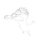 rraptor.png
