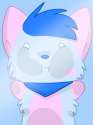 bani__phone_wallpaper_by_caramelcat123-d4zthxf.jpg
