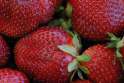 strawberry.jpg