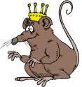 rat.gif