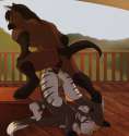 Horse Furry 019.png