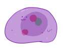 Slume.png