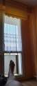20160422_110533_Richtone(HDR)-1.jpg