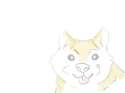 doggo.gif