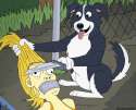 How furries enter a strip club.gif