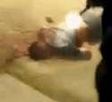 LiveLeak-dot-com-3087a99418dc-ezgifcom-crop.gif
