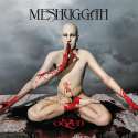 Meshuggah-ObZen.jpg