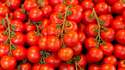 tomate_haufen.jpg