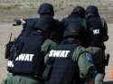 just swat the cunt.jpg