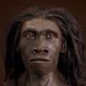 erectus_JC_Recon_Head_CC_f_sq.jpg