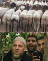 Camelfckers.jpg