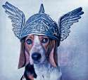 doggo hatimus (1080).jpg