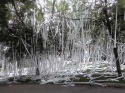 ultimate-toilet-papered-house-18797-1249059206-10.jpg
