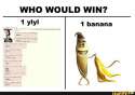 5ecbb03a415d402bf88c9807335ee4f4ae96791b58ddf223247be23c11bcc057_1.jpg