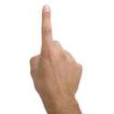 index finger.jpg