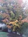 Image09282011102505.jpg