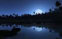 tmp_11927-aqua_blue_night-wide-1013701306.jpg