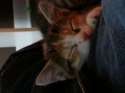 20140407_182126.jpg