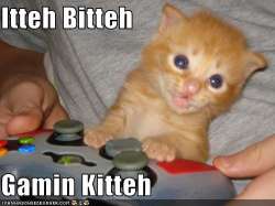 itteh-bitteh-gamin-kitteh.jpg