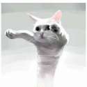 longcat0.png.png