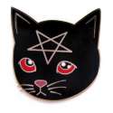 pentacat.jpg