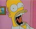 homer.jpg