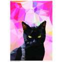black_cat_square_1024x1024.jpg