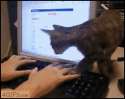 1319215753380.gif