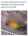 FB_IMG_1453476618635.jpg