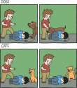 12548910_866923743419086_9151803830594427774_n.jpg