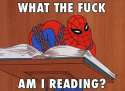 Spider Reading.jpg