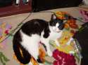 man that was some good catmint.jpg